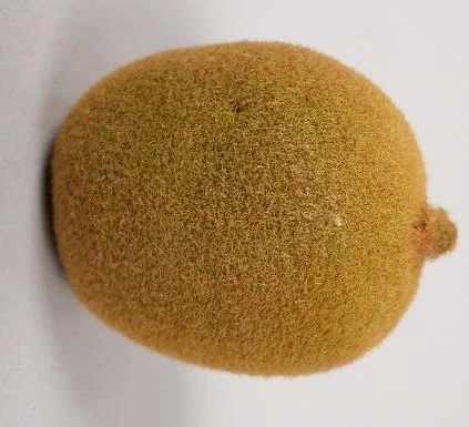 Real Touch Fruits x1